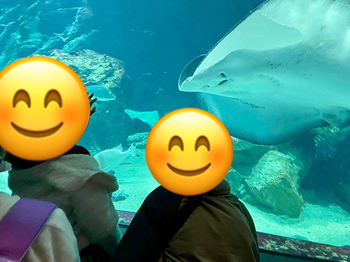 マリンワールド2